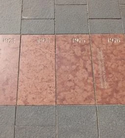 Magyar Tudományos Akadémia Művészeti Gyűjtemény