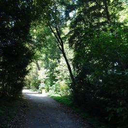 Vácrátóti Arborétum Vácrátót - Egyéb