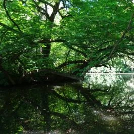 Vácrátóti Arborétum Vácrátót - Egyéb