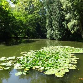 Vácrátóti Arborétum Vácrátót - Egyéb