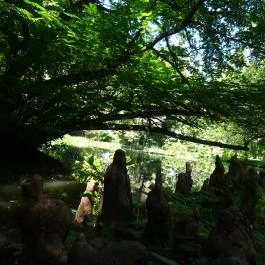 Vácrátóti Arborétum Vácrátót - Egyéb