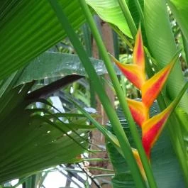 Vácrátóti Arborétum Vácrátót - Egyéb