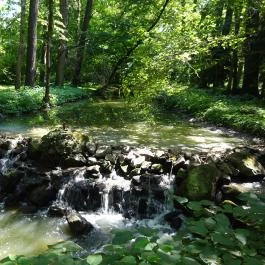 Vácrátóti Arborétum Vácrátót - Egyéb