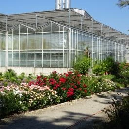 Vácrátóti Arborétum Vácrátót - Egyéb