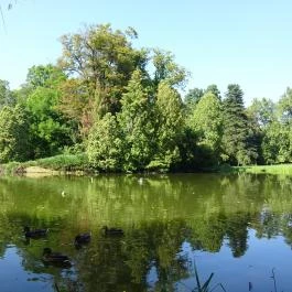 Vácrátóti Arborétum Vácrátót - Egyéb