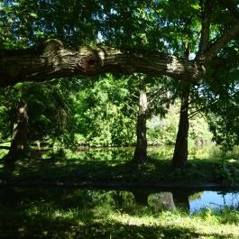 Vácrátóti Arborétum Vácrátót - Egyéb