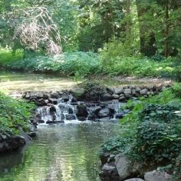 Vácrátóti Arborétum Vácrátót - Egyéb