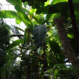 Vácrátóti Arborétum Vácrátót - Egyéb