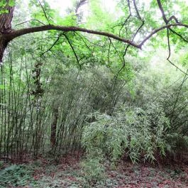 Magyarország Történeti Kertjei Kiállítás, Alcsútdoboz - 