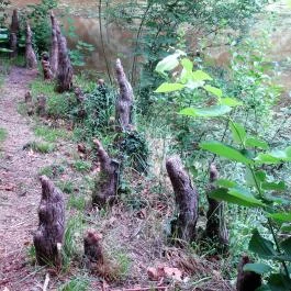 Magyarország Történeti Kertjei Kiállítás, Alcsútdoboz - 