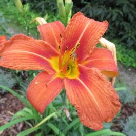 Magyarország Történeti Kertjei Kiállítás, Alcsútdoboz - 