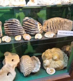 Magyarországi Kalcitkristályok Színes Világa