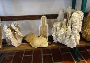 Magyarországi Kalcitkristályok Színes Világa Fertőrákos