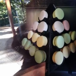 Majomhoz, Budapest - Étel/ital