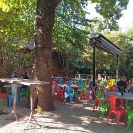 Majomhoz, Budapest - Belső