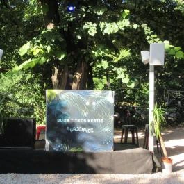 Majomhoz, Budapest - Belső