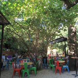 Majomhoz, Budapest - Belső