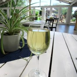 Major Csárda, Gyál - Egyéb