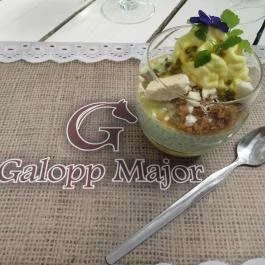 Major Csárda, Gyál - Egyéb