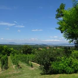 Majthényi Présház Balatonlelle - Egyéb