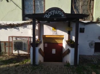 Makói Borpince Makó