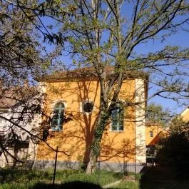 Makói ortodox zsinagóga, Makó - Egyéb