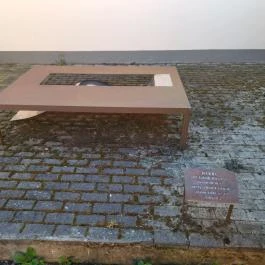 Makói ortodox zsinagóga, Makó - Egyéb