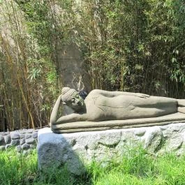 Mala Garden Étterem Siófok - Egyéb