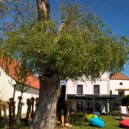 Malom & Kacsa - Bisztró, Kávézó & Rendezvényház Tata - Egyéb