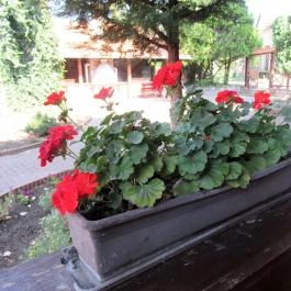 Malomudvar Étterem, Cukrászda , Panzió & Rendezvényház Gyöngyös - Egyéb