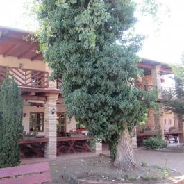 Malomudvar Étterem, Cukrászda , Panzió & Rendezvényház Gyöngyös - Egyéb