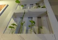 Mama & BBQ Bistro Budapest