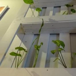 Mama & BBQ Bistro Budapest - Belső