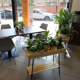 Mama's Cafe & Canteen, Budapest - Belső