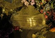 Mancs szobor Miskolc