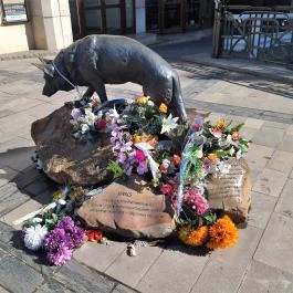 Mancs szobor Miskolc - Egyéb
