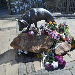 Mancs szobor Miskolc - Egyéb