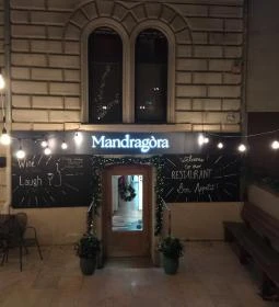 Mandragóra Kávéház