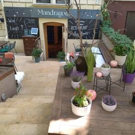 Mandragóra Kávéház Budapest - Külső kép