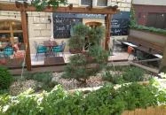 Mandragóra Kávéház Budapest