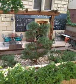 Mandragóra Kávéház