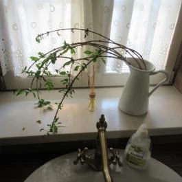 Mandula Kávézó Solymár - Egyéb