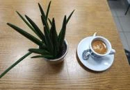 Manetti Coffee Pest Budapest