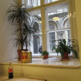 Manu+, Budapest - Belső