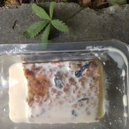 És Margarita Budapest - Étel/ital