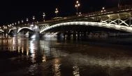 Margit híd Budapest - Egyéb