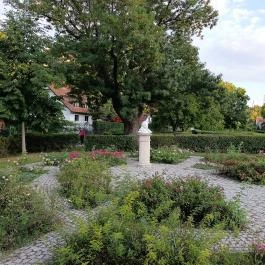 Margit-romok Veszprém - Egyéb