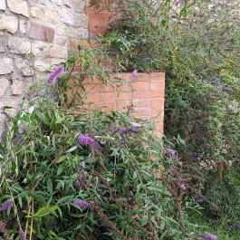 Margit-romok Veszprém - Egyéb