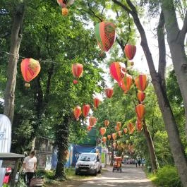 Margit-sziget Budapest - Egyéb