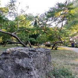 Margitszigeti Japánkert Budapest - Egyéb